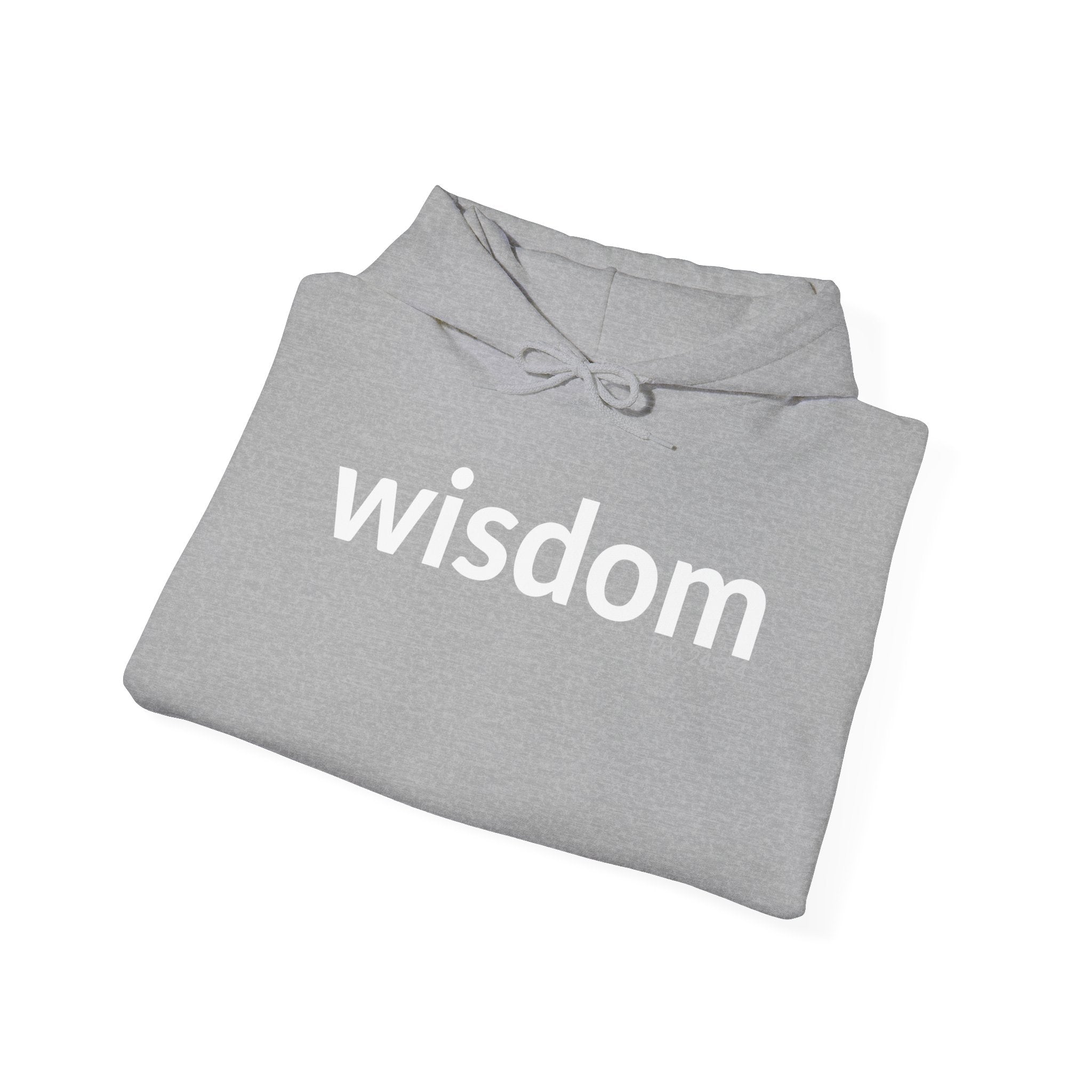 WISDOM | Faithware Collection – Hoodie | (Proverbs 24:3-4)
