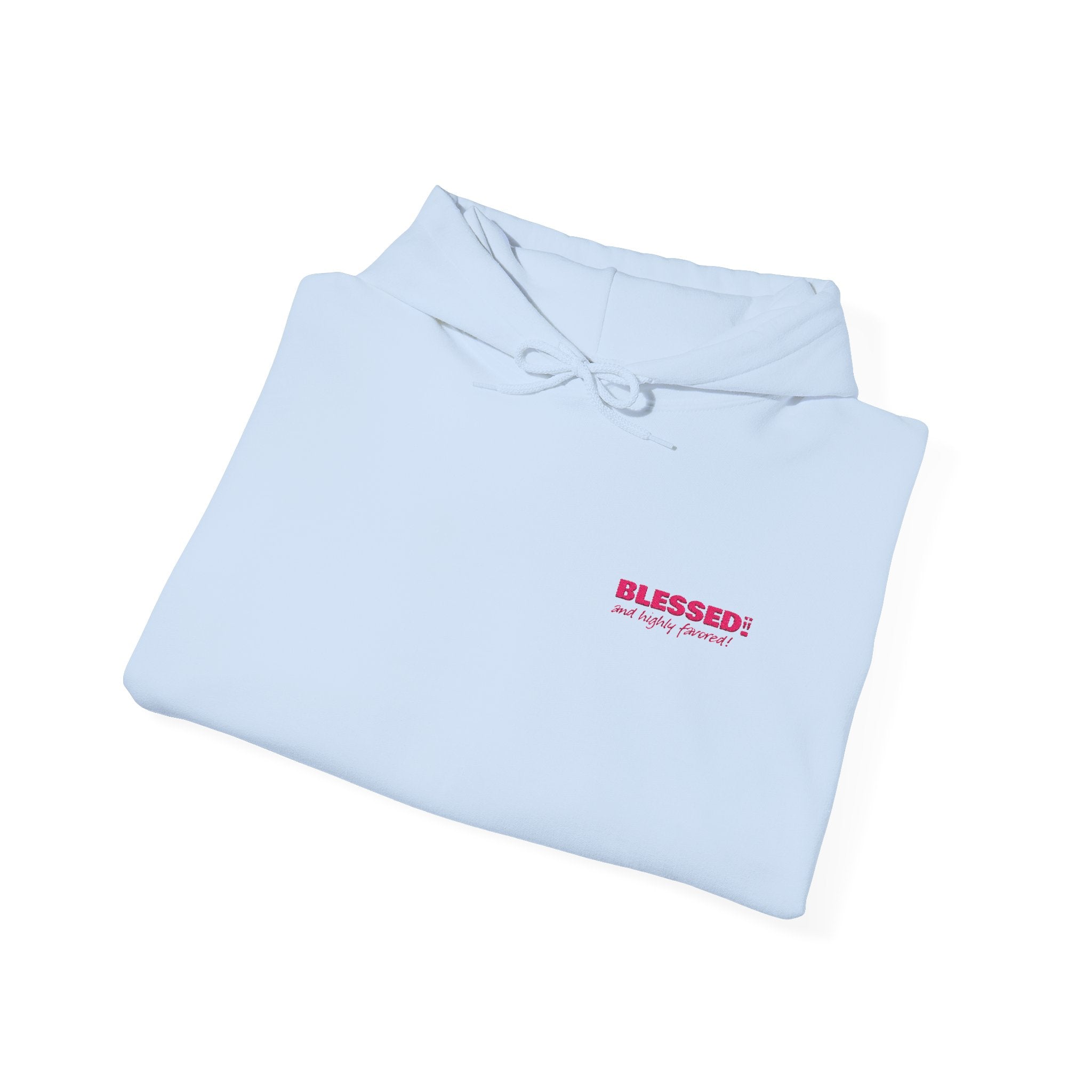 BLESSED! And Highly Favored Collection | Embroidered Hoodie |