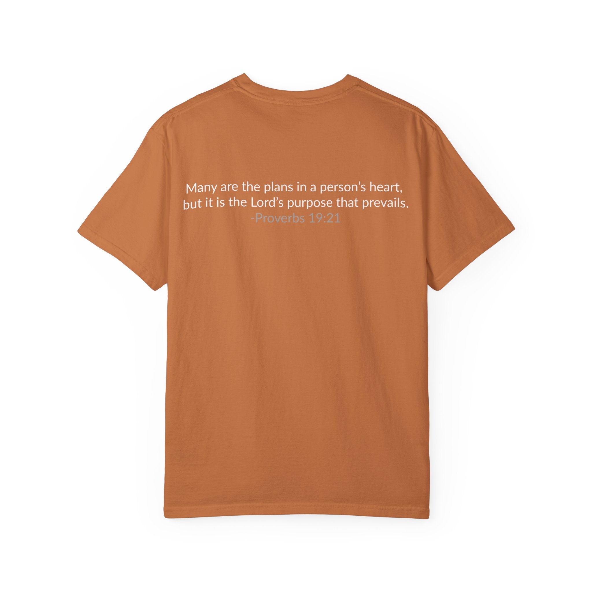 GOD'S PLAN! | Unisex T-Shirt | (Proverbs 19:21)