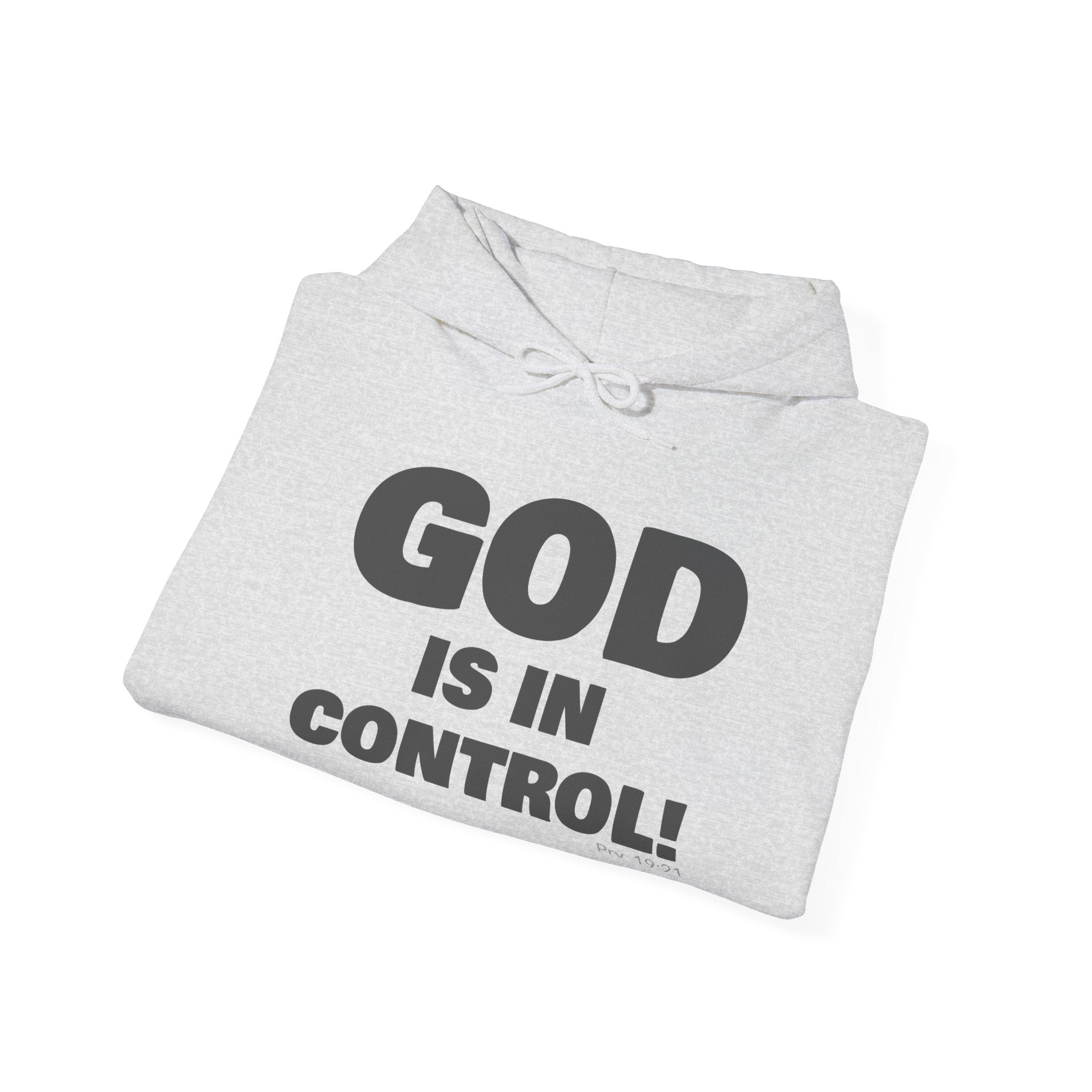 GOD IS IN CONTROL! | Hoodie | (Proverbs 19:21)