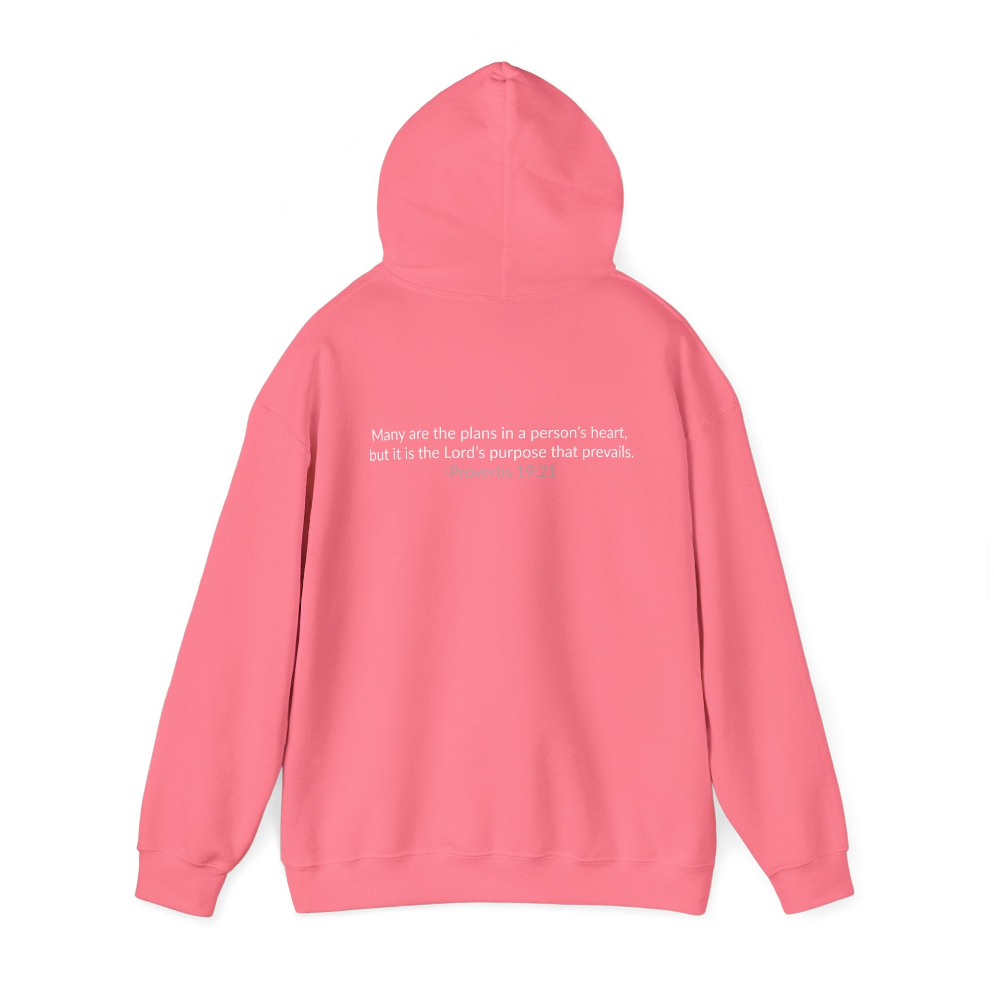 GOD IS IN CONTROL! | Hoodie | (Proverbs 19:21)