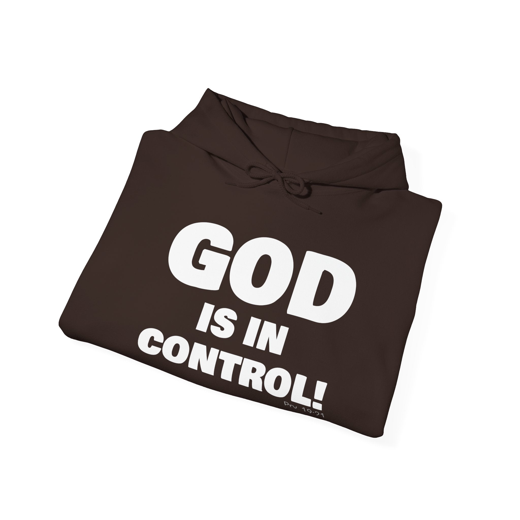 GOD IS IN CONTROL! | Hoodie | (Proverbs 19:21)