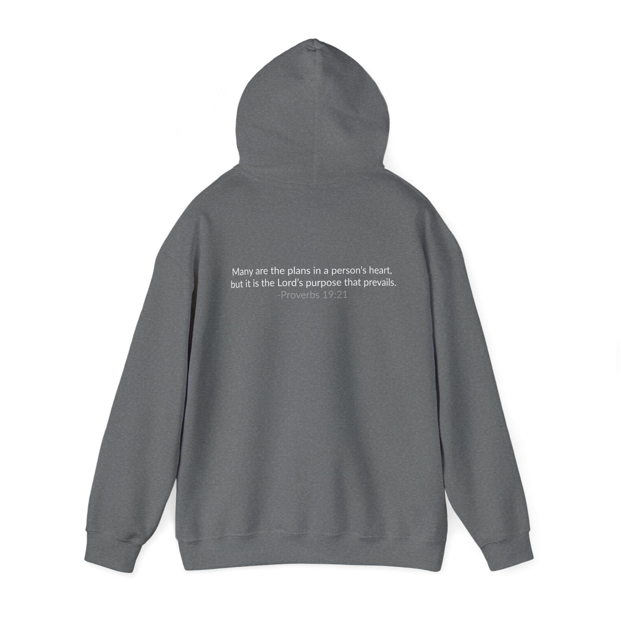 GOD IS IN CONTROL! | Hoodie | (Proverbs 19:21)