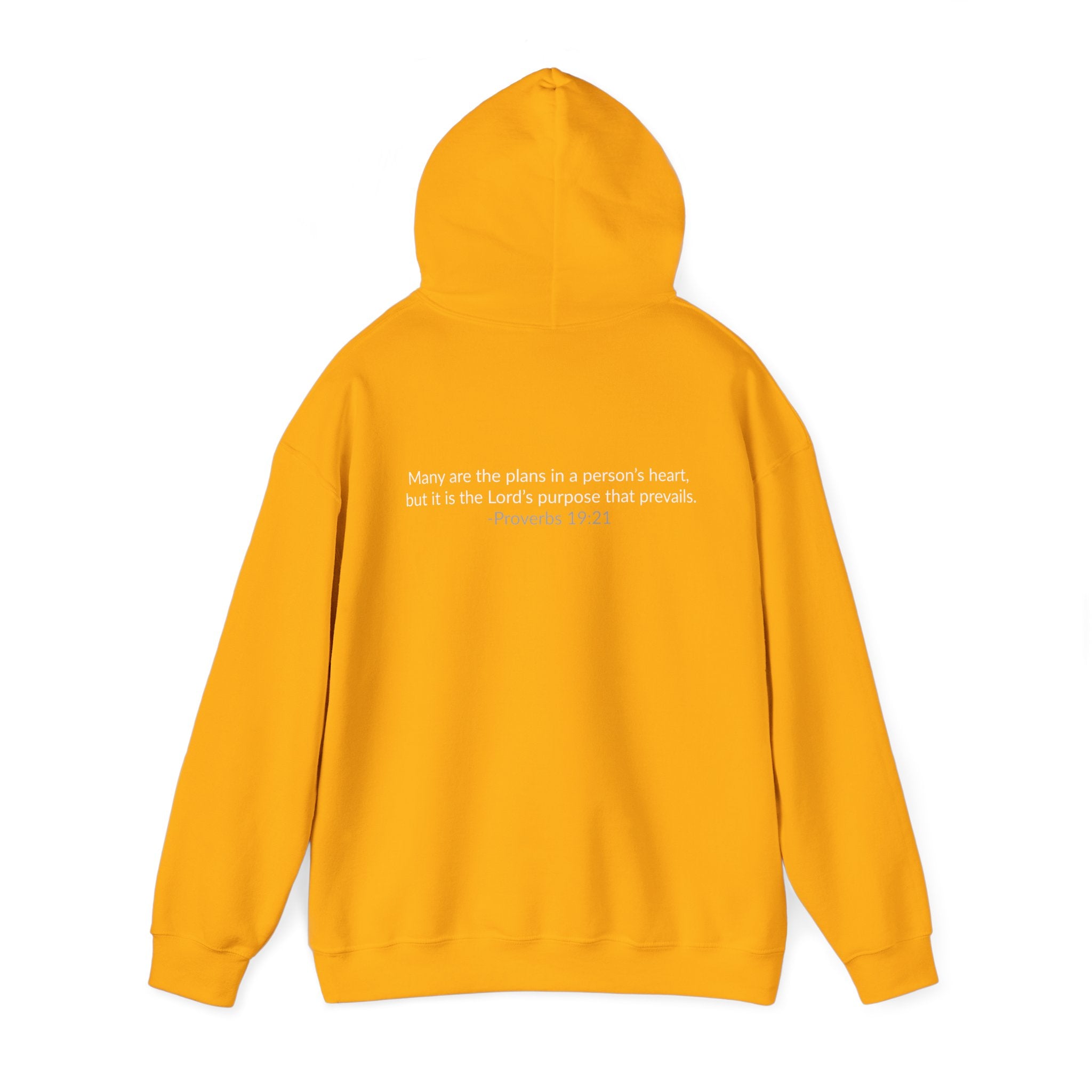 GOD IS IN CONTROL! | Hoodie | (Proverbs 19:21)