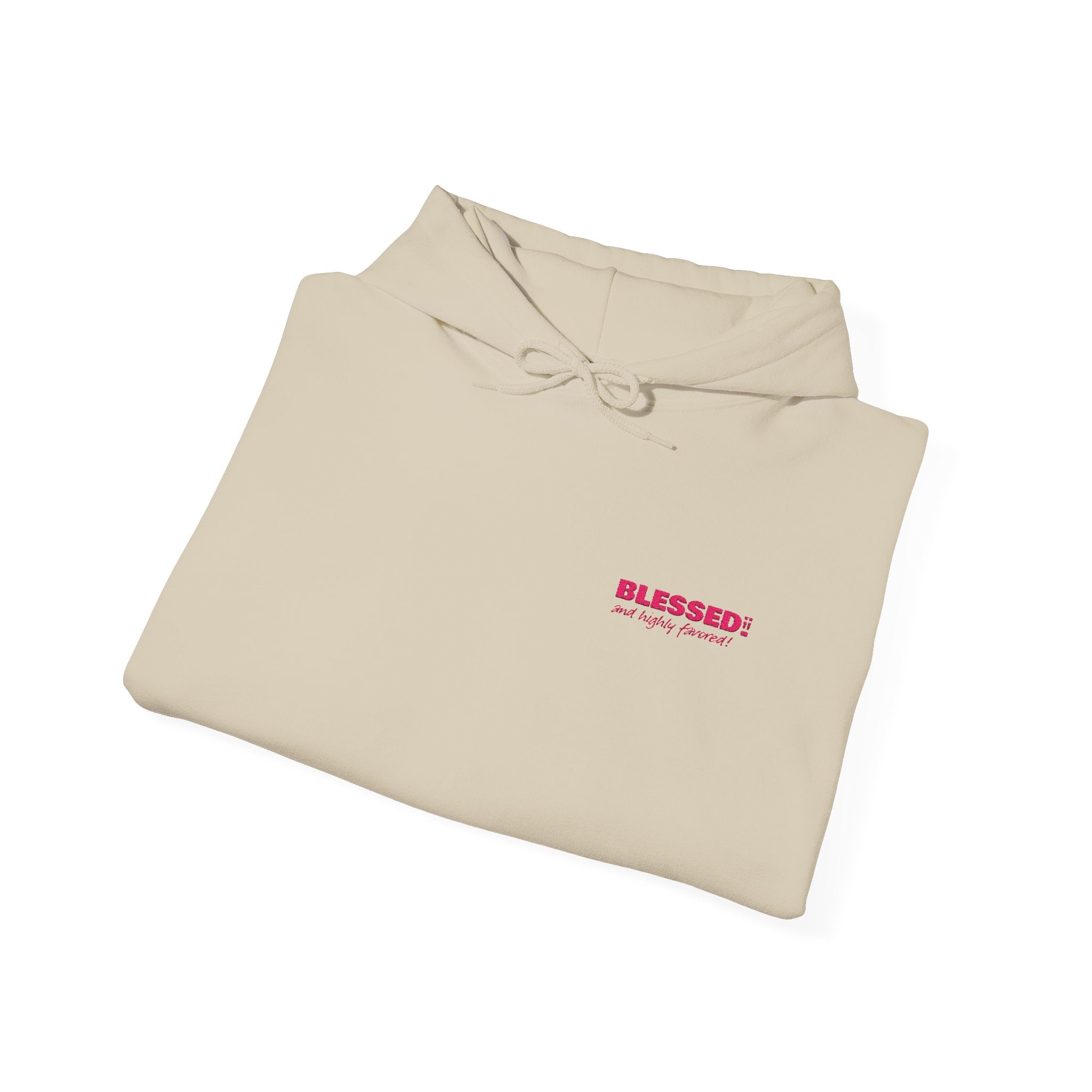 BLESSED! And Highly Favored Collection | Embroidered Hoodie |