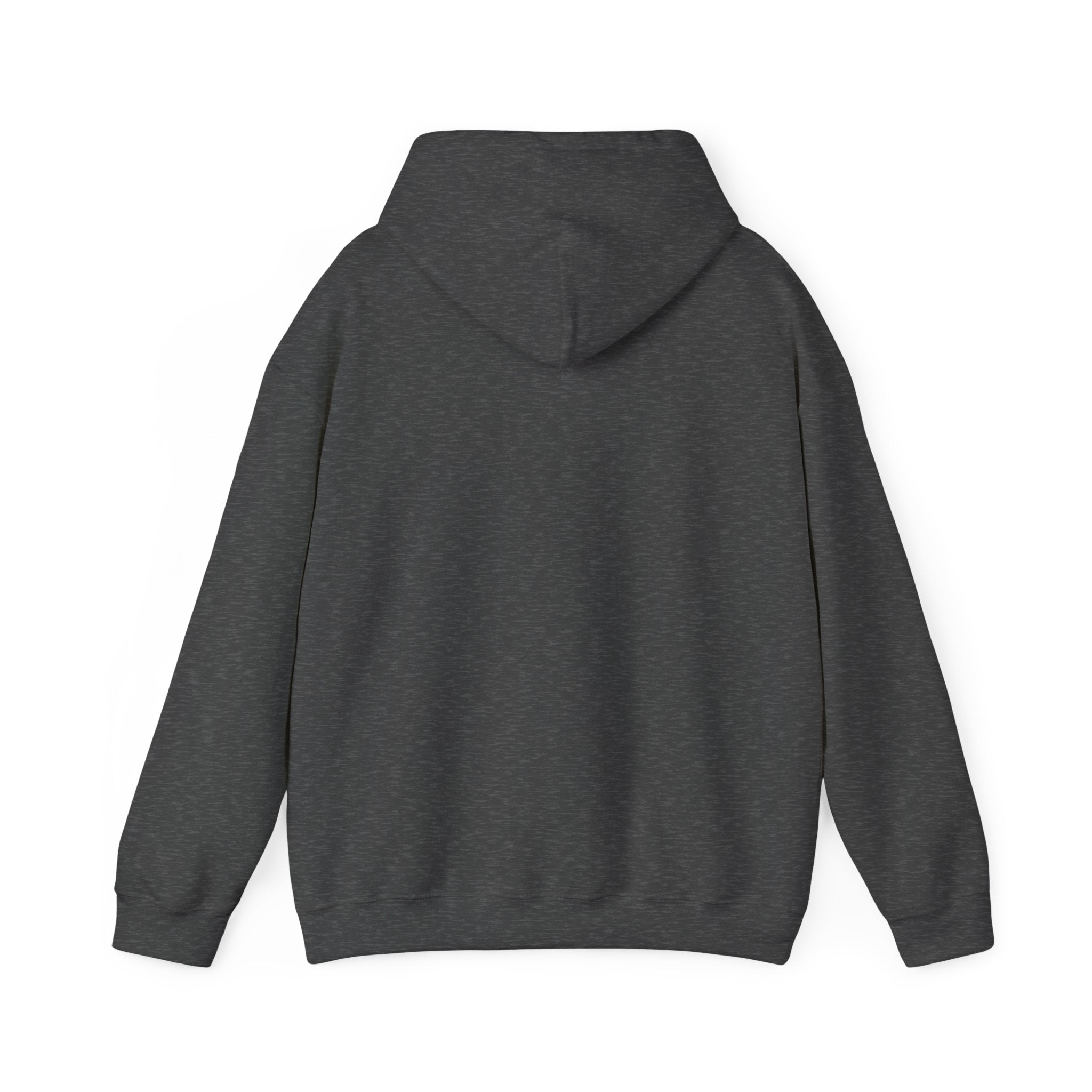 BLESSED! And Highly Favored Collection | Embroidered Hoodie |