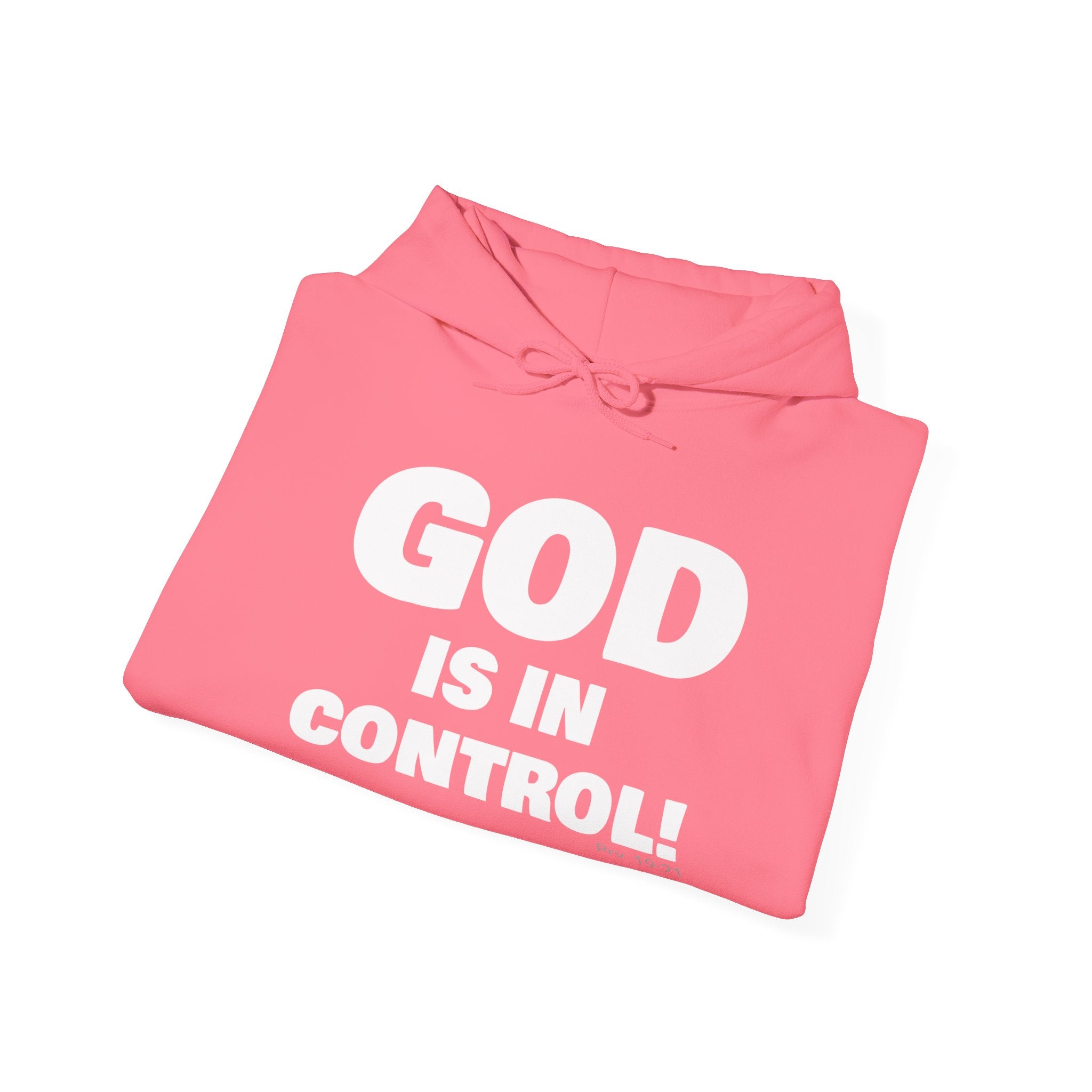 GOD IS IN CONTROL! | Hoodie | (Proverbs 19:21)