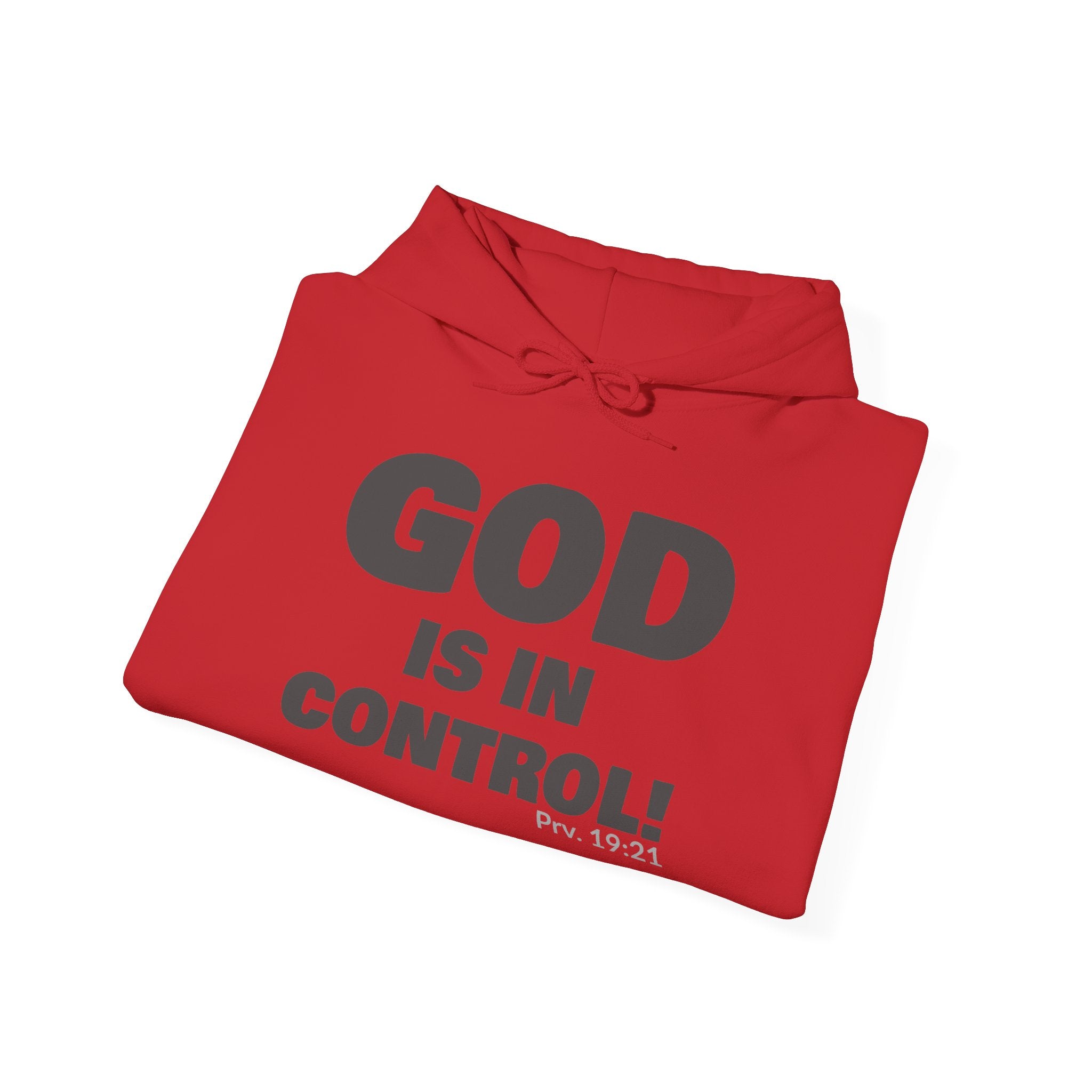 GOD IS IN CONTROL! Collection | Unisex Hoodie | (Proverbs 19:21 )