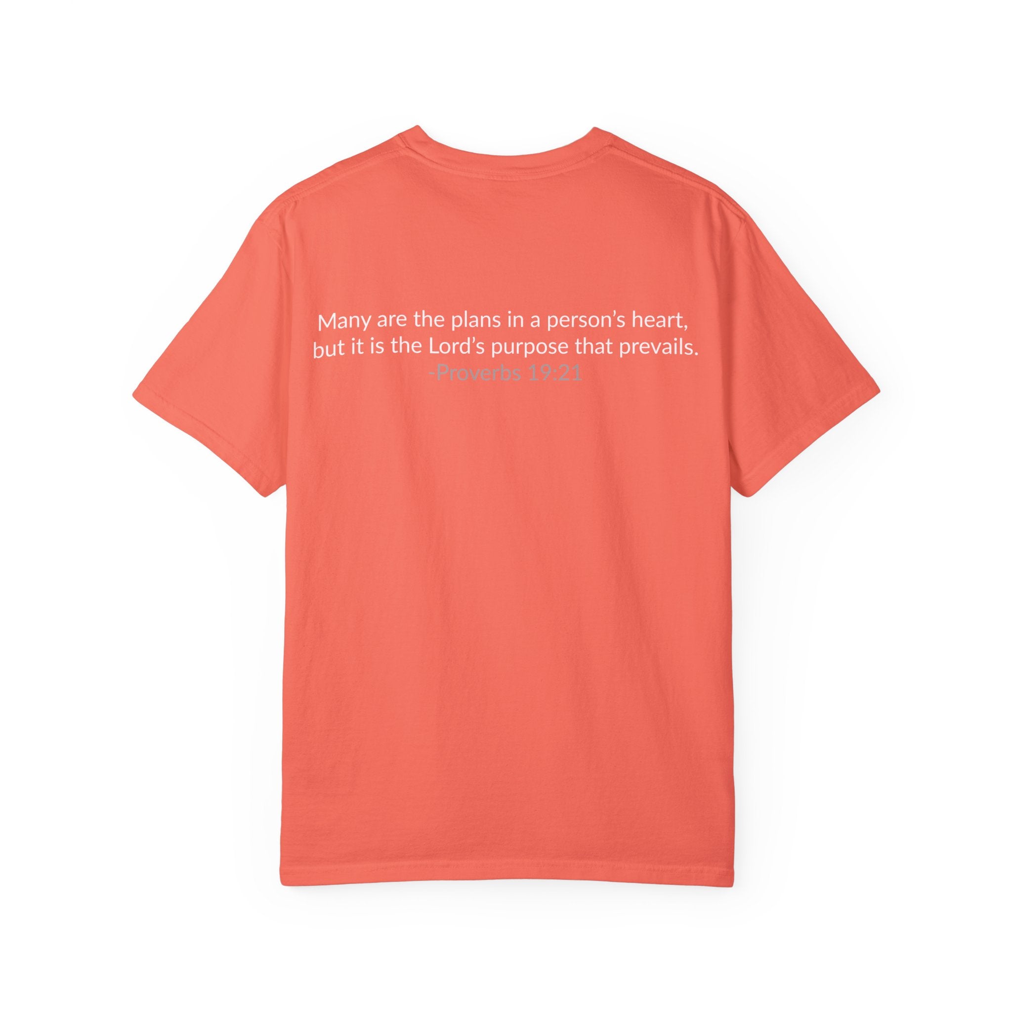 GOD IS IN CONTROL! Collection | Unisex T-Shirt | (Proverbs 19:21)