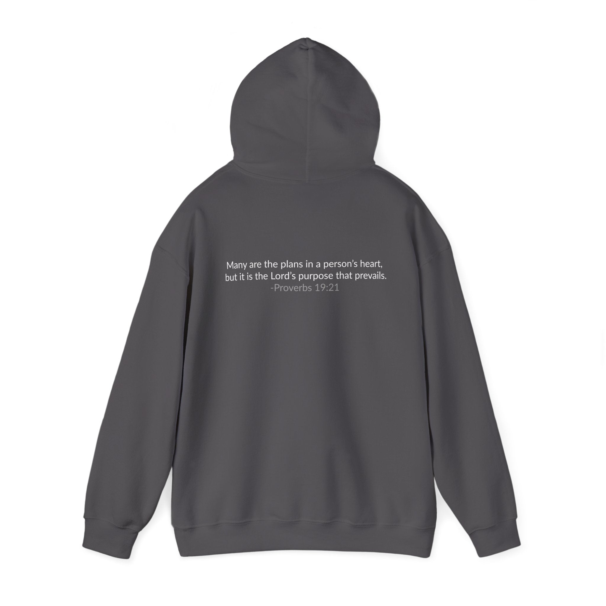 GOD IS IN CONTROL! | Hoodie | (Proverbs 19:21)