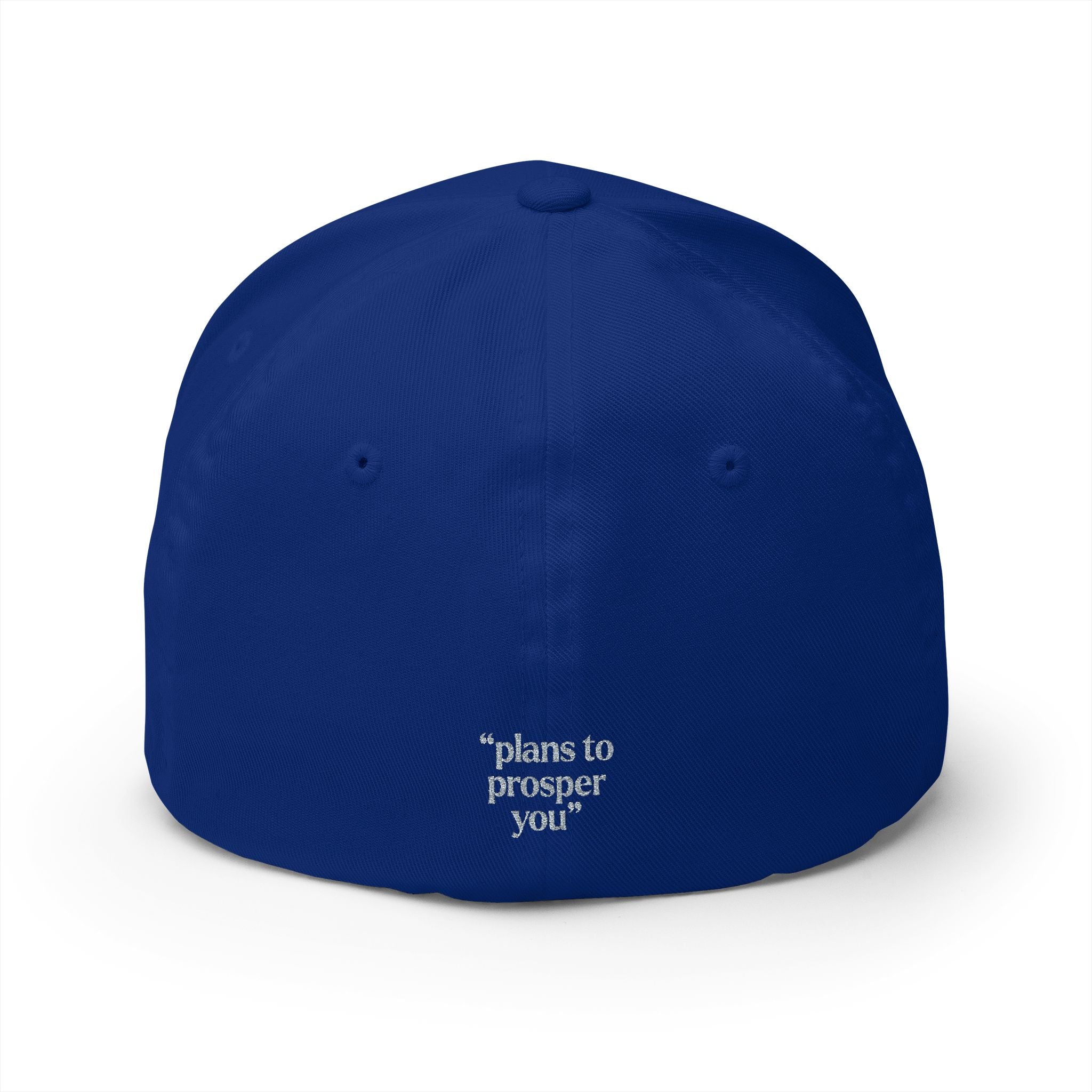 THRIVE 29:11 Collection | Embroidered Cap | (Jeremiah 29:11)