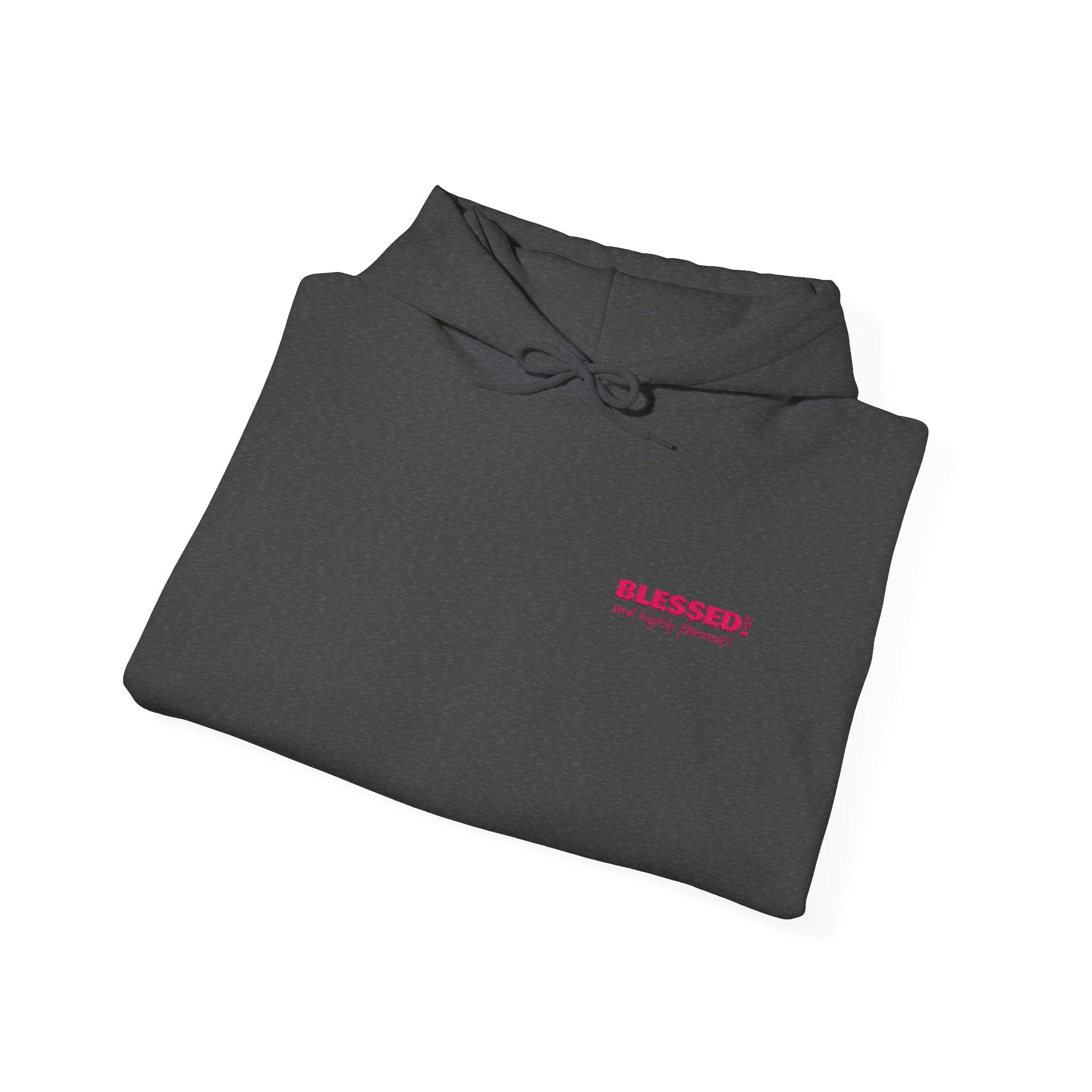 BLESSED! And Highly Favored Collection | Embroidered Hoodie |