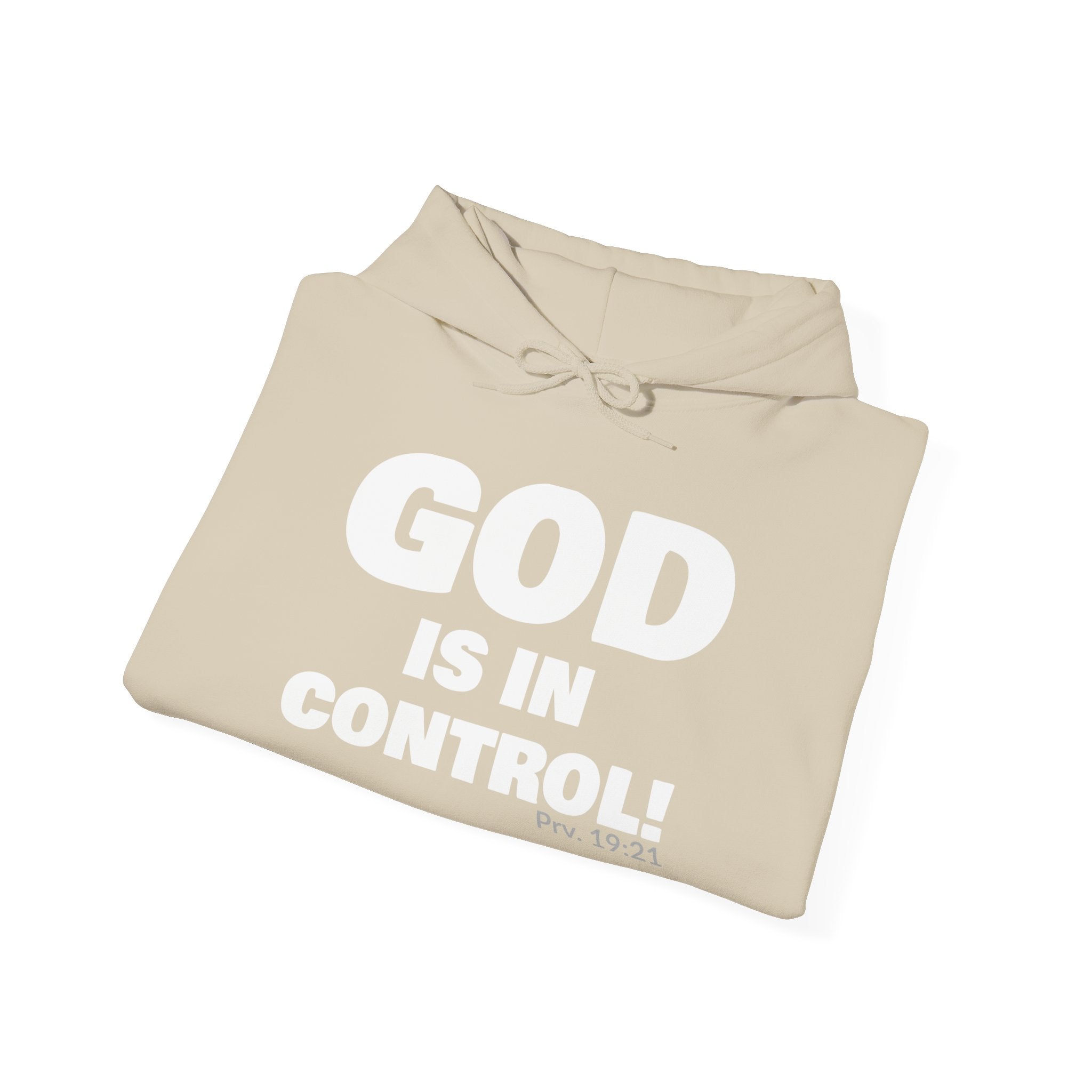 GOD IS IN CONTROL! Collection | Unisex Hoodie | (Proverbs 19:21 )