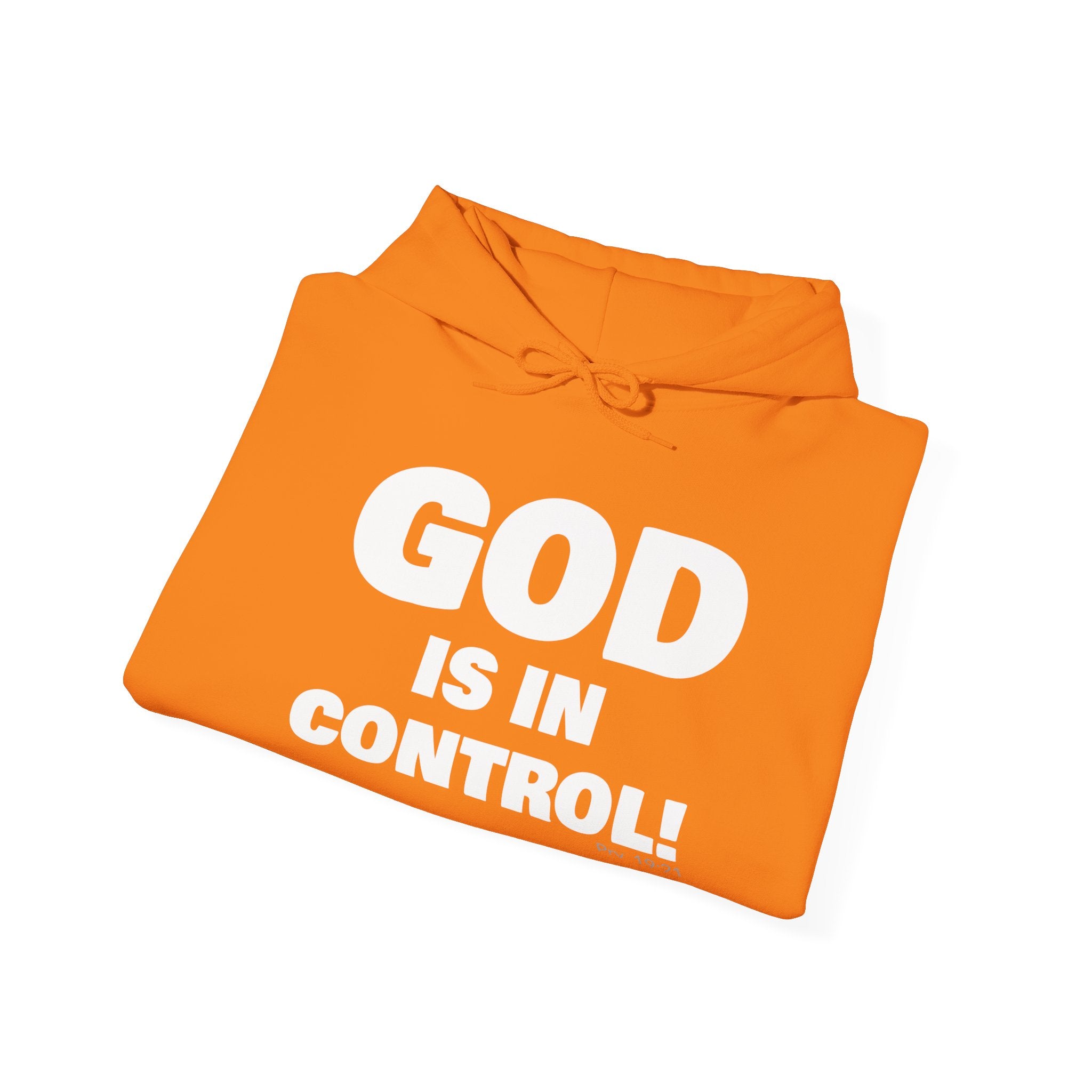 GOD IS IN CONTROL! | Hoodie | (Proverbs 19:21)