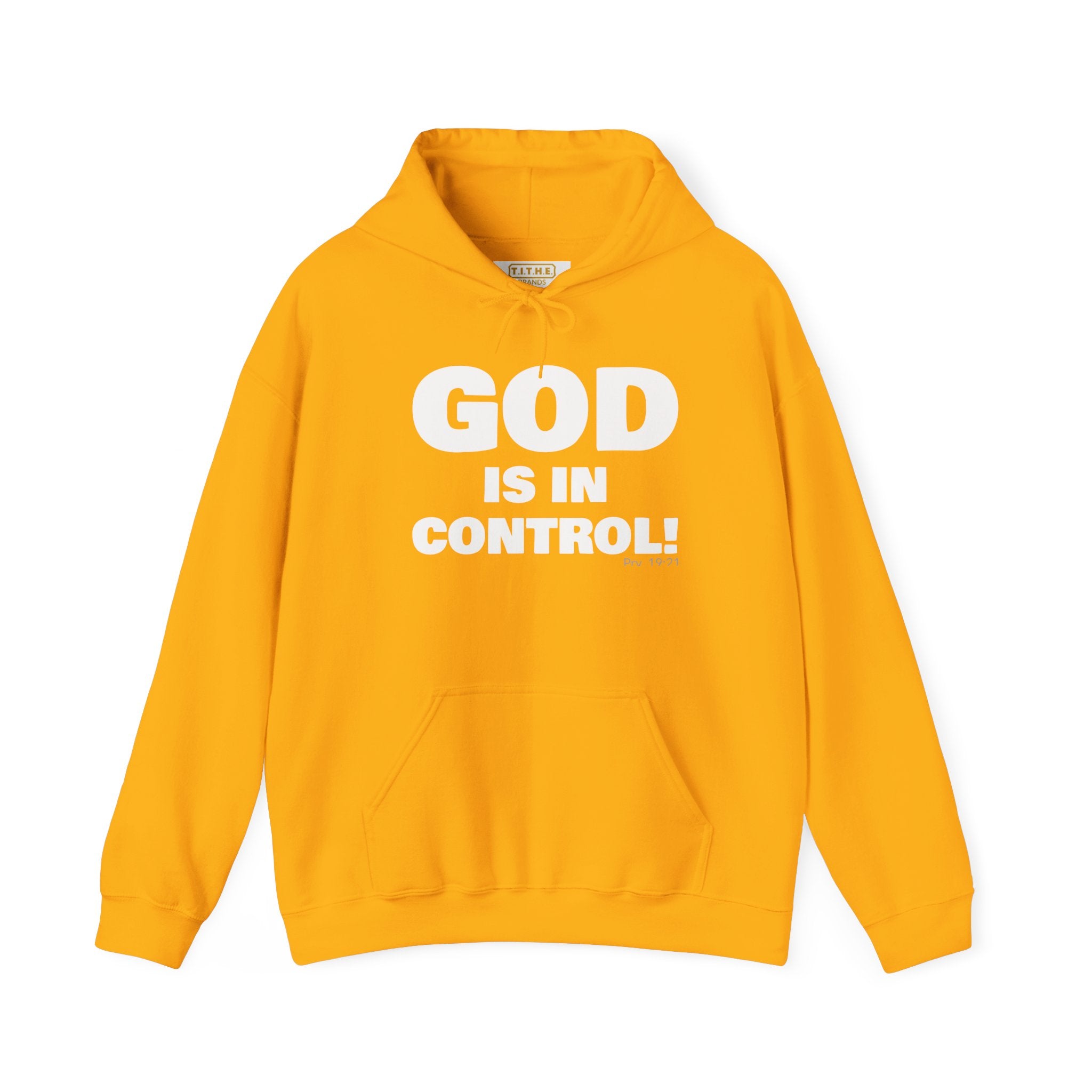GOD IS IN CONTROL! | Hoodie | (Proverbs 19:21)