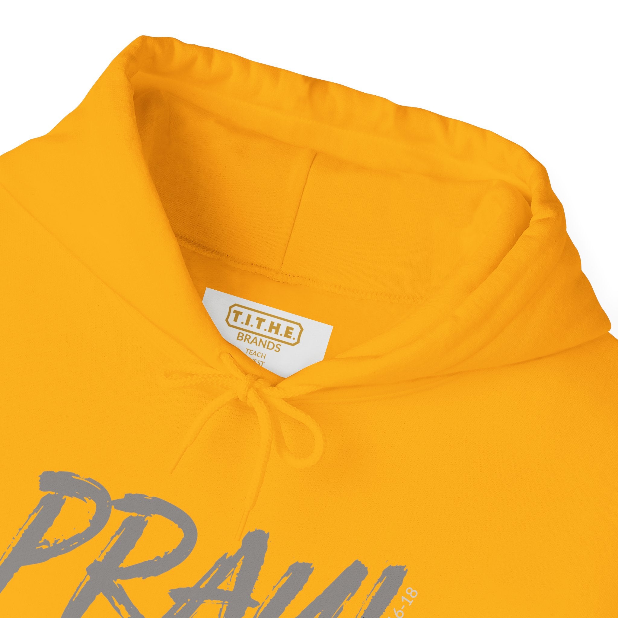 PRAY! Collection | Hoodie | Faith-Based Streetwear for Prayer Warriors | (1 Thessalonians 5:16-18)