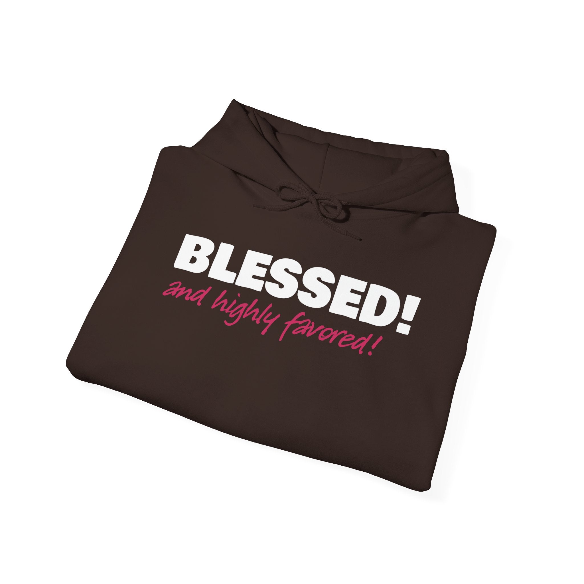 BLESSED! And Highly Favored Collection | Hoodie | (Luke 1:28)