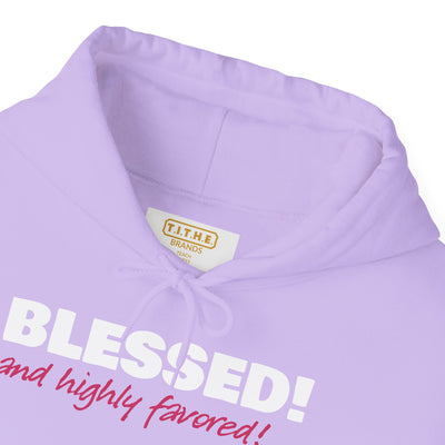 Blessed & Highly Favored Embroidered Hoodie | Luke 1:28