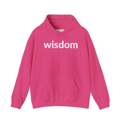 WISDOM | Faithware Collection – Hoodie | (Proverbs 24:3-4)
