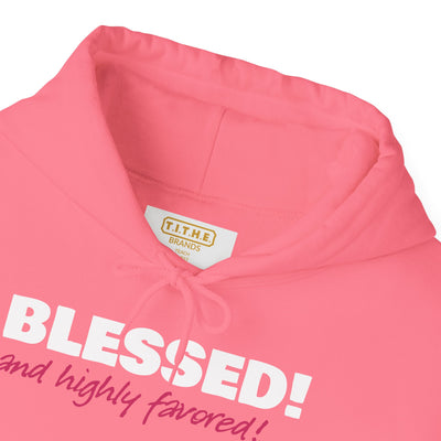 Blessed & Highly Favored Embroidered Hoodie | Luke 1:28