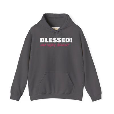 Blessed & Highly Favored Embroidered Hoodie | Luke 1:28