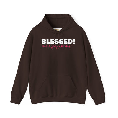 Blessed & Highly Favored Embroidered Hoodie | Luke 1:28