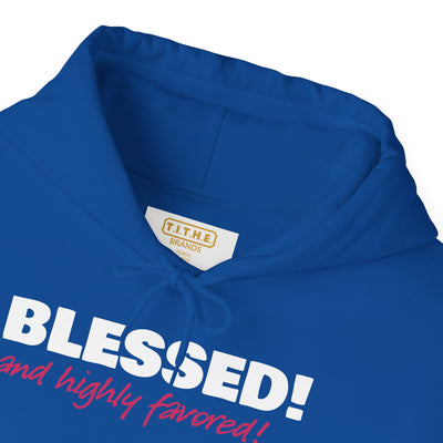 Blessed & Highly Favored Embroidered Hoodie | Luke 1:28