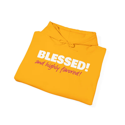 Blessed & Highly Favored Embroidered Hoodie | Luke 1:28