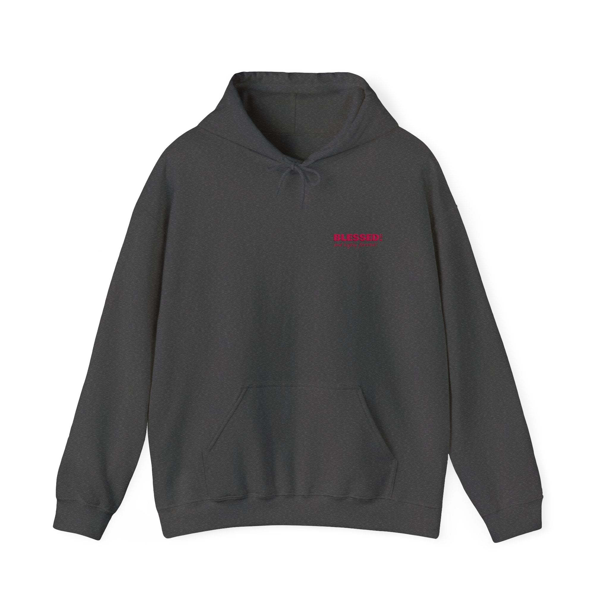 BLESSED! And Highly Favored Collection | Embroidered Hoodie |