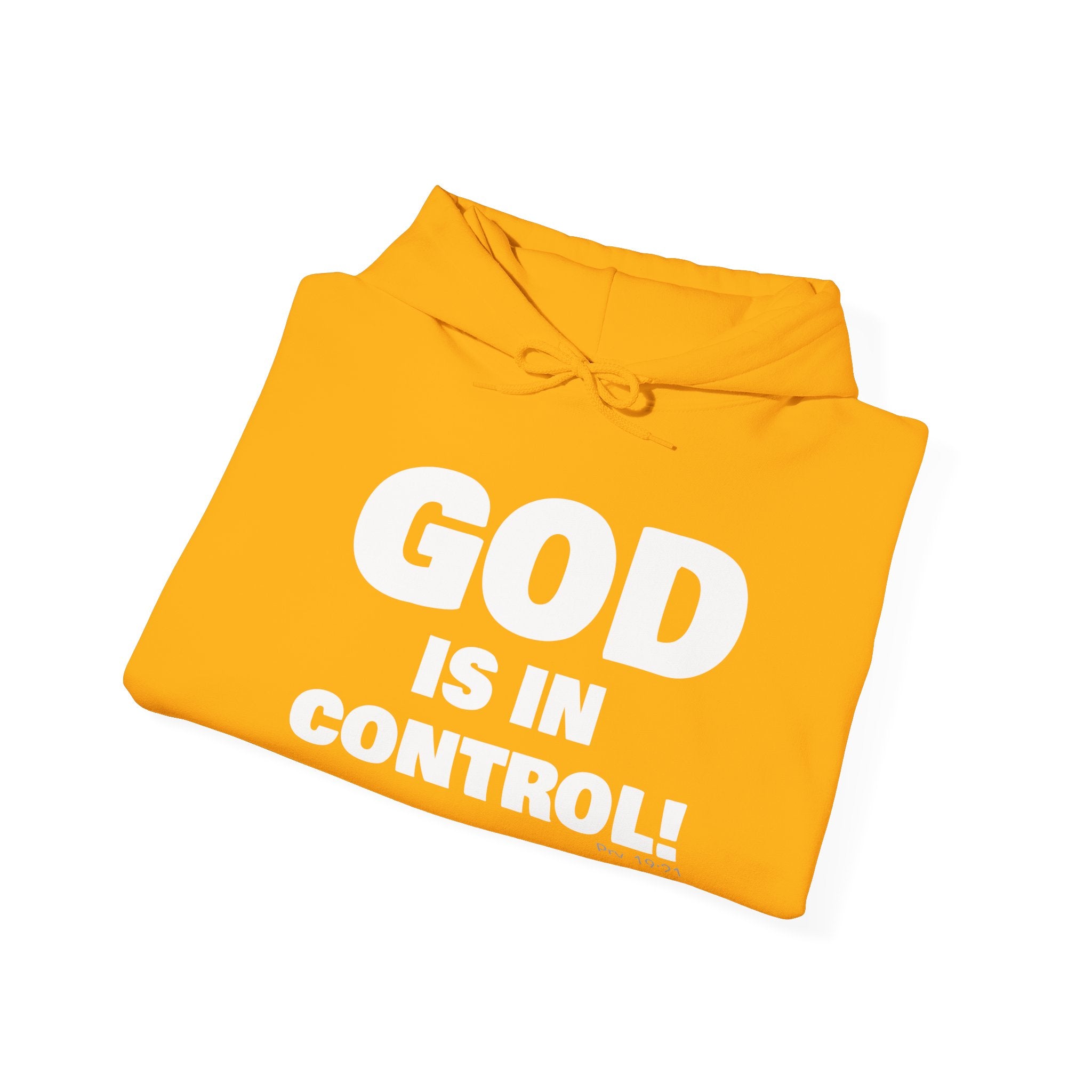 GOD IS IN CONTROL! | Hoodie | (Proverbs 19:21)