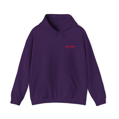 BLESSED! And Highly Favored Collection | Embroidered Hoodie |