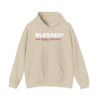 Blessed & Highly Favored Embroidered Hoodie | Luke 1:28