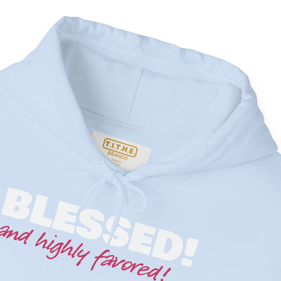Blessed & Highly Favored Embroidered Hoodie | Luke 1:28