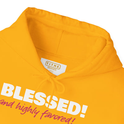 Blessed & Highly Favored Embroidered Hoodie | Luke 1:28