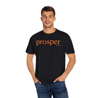 Prosper Unisex Garment-Dyed T-Shirt - Inspirational Quote Tee