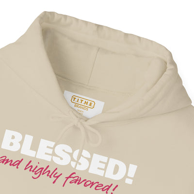 Blessed & Highly Favored Embroidered Hoodie | Luke 1:28