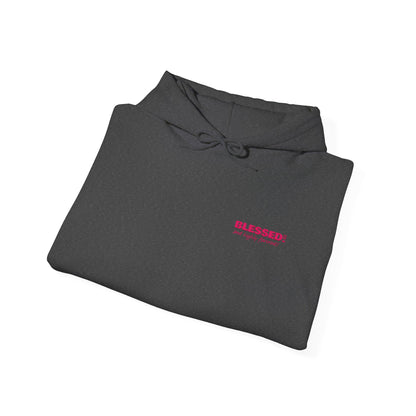 BLESSED! And Highly Favored Collection | Embroidered Hoodie |