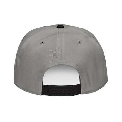 GOD IS IN CONTROL! | Embroidered Snapback Cap - (Proverbs 19:21)
