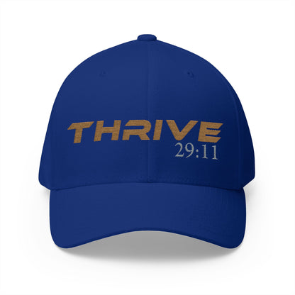 THRIVE 29:11 Collection | Embroidered Cap | (Jeremiah 29:11)