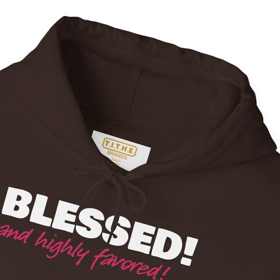 Blessed & Highly Favored Embroidered Hoodie | Luke 1:28