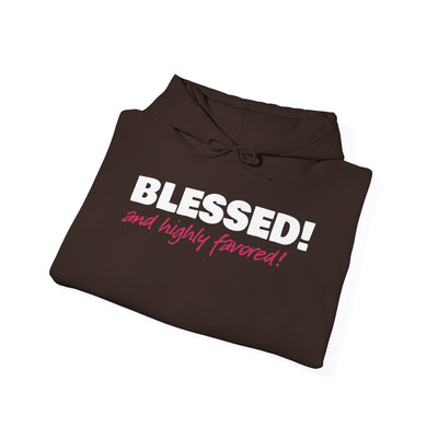 Blessed & Highly Favored Embroidered Hoodie | Luke 1:28